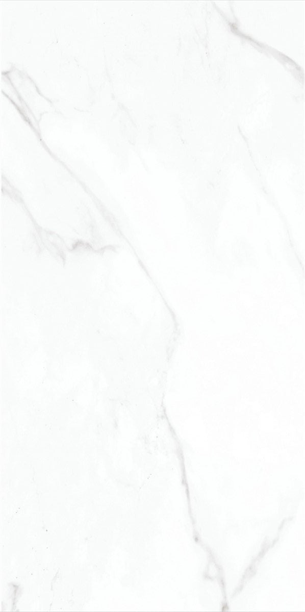 CARR ALVES PORCELAINE  WHITE  30 X 60 1,44 M²/PQ