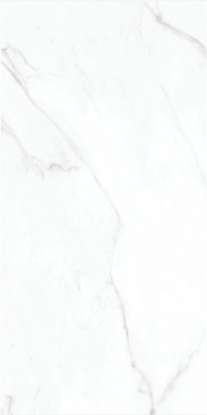 CARR ALVES PORCELAINE  WHITE  30 X 60 1,44 M²/PQ