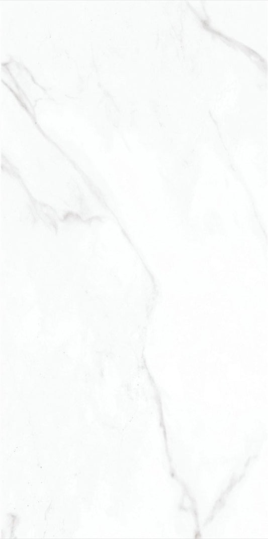 CARR ALVES PORCELAINE  WHITE  30 X 60 1,44 M²/PQ