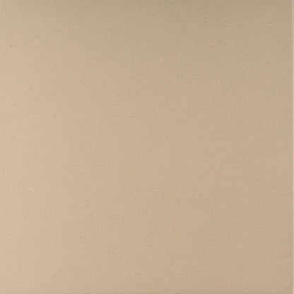 CARR ANTI ACID 30 X 30 0,54 M²/PQ