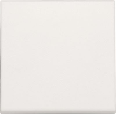 KIT DE TERMINATION POUSSOIR DIMMER BLANC