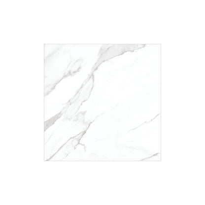 CARR ALVES PORCELAIN WHITE 50X50  (1.75M²/PQ)
