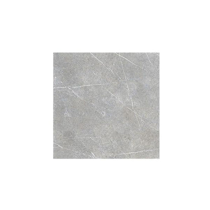 CARR RESOLUTE - 19 MM GREY 60 X 60 X 2 CM 0.72 M²/PQ