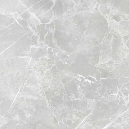 CARR GRIS (PORCELAIN) L.GREY 50X50 (1,75M²/PQ)