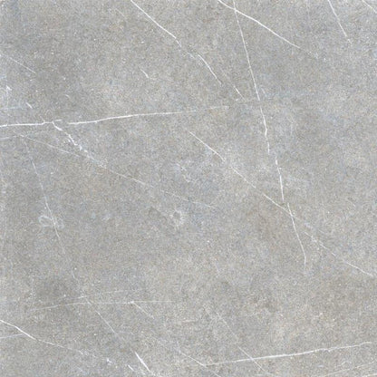CARR RESOLUTE - 19 MM GREY 60 X 60 X 2 CM 0.72 M²/PQ