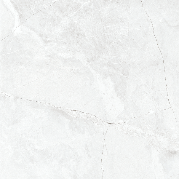 CARR ZEUS SILVER 50X50 (1,75M²/PQ)