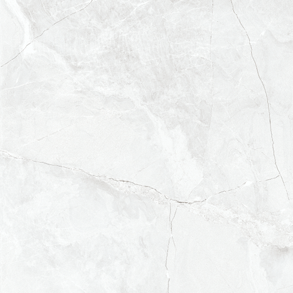 CARR ZEUS SILVER 50X50 (1,75M²/PQ)