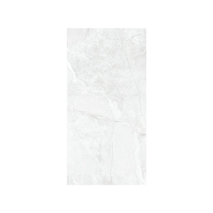 CARR ZEUS SILVER 30X60  (1,44 M²/PQ)