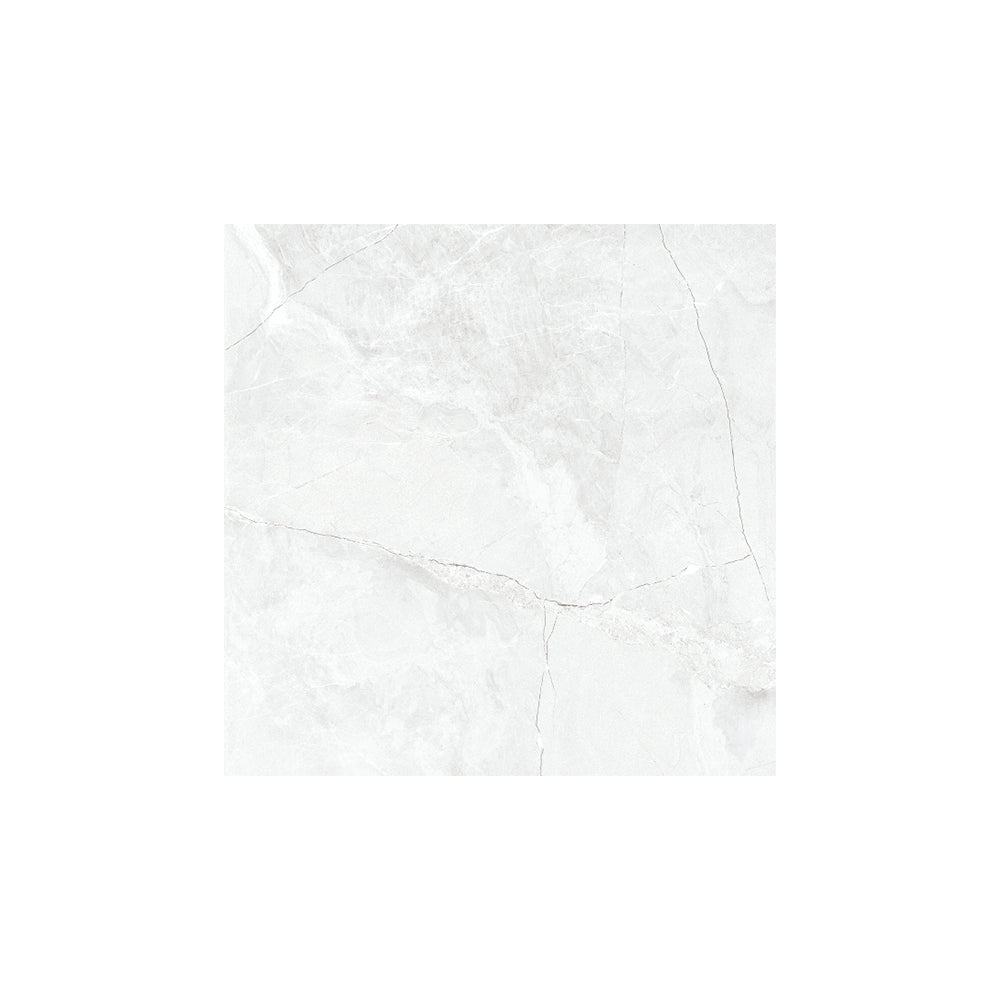 CARR ZEUS SILVER 50X50 (1,75M²/PQ)